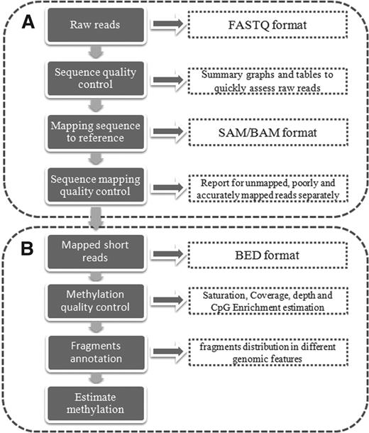 Medip Seq Analysis