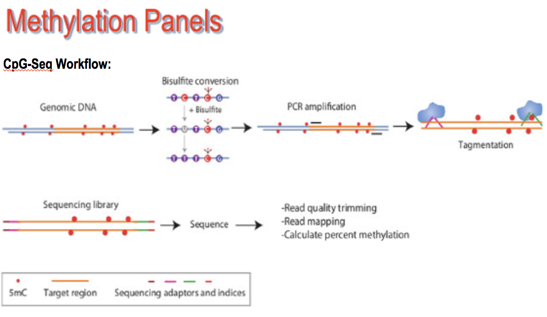 dna-seq-panel