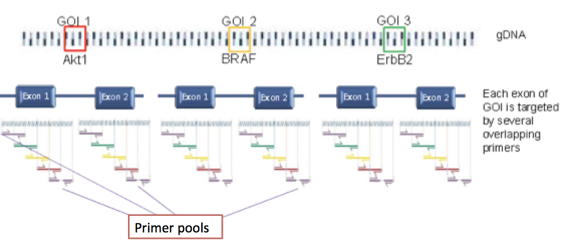 primer_pools