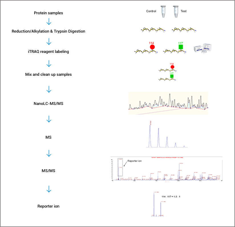 Whole Genome Resequencing